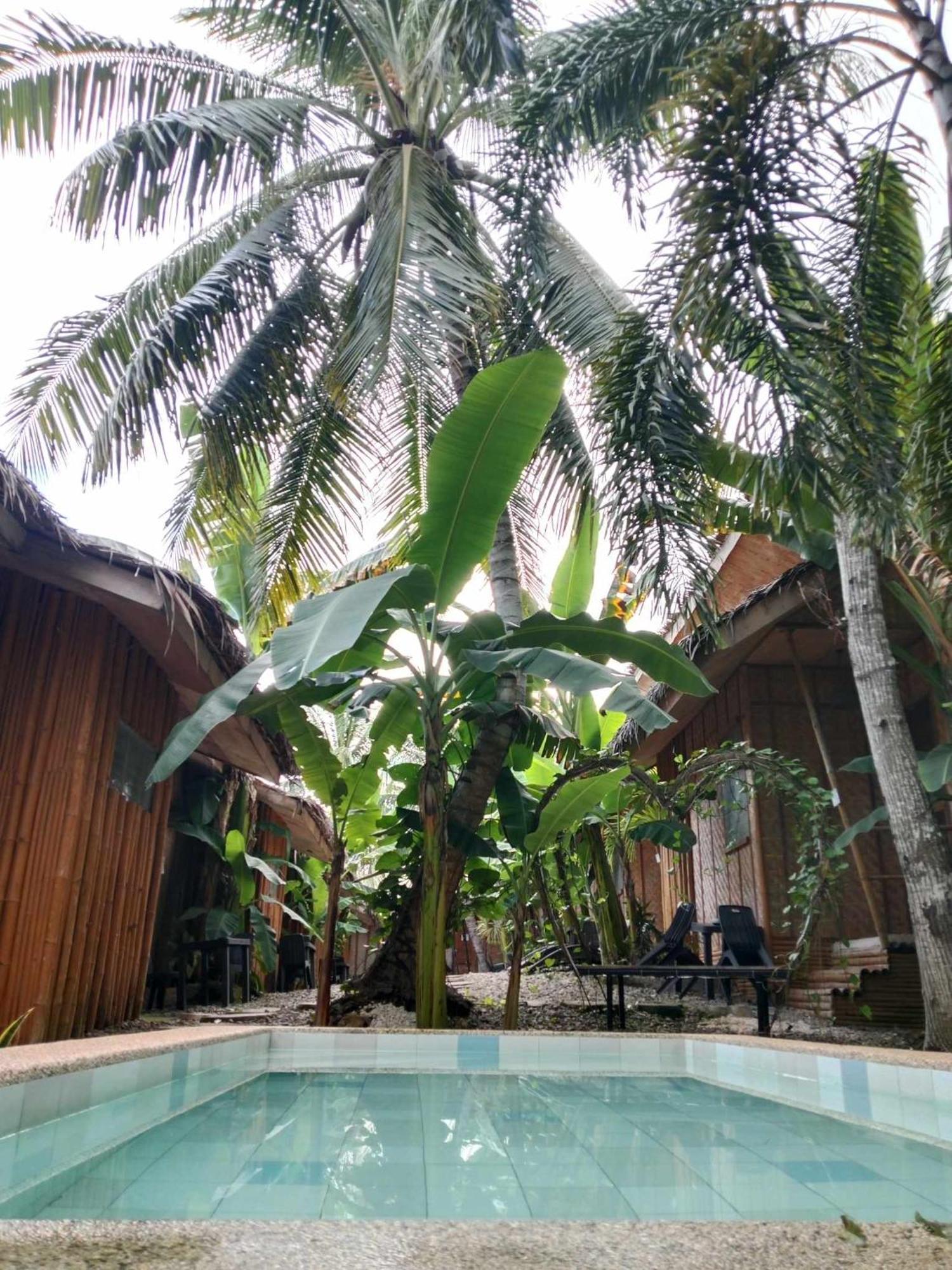 Ecostay Panglao Resort Hotel Exteriör bild
