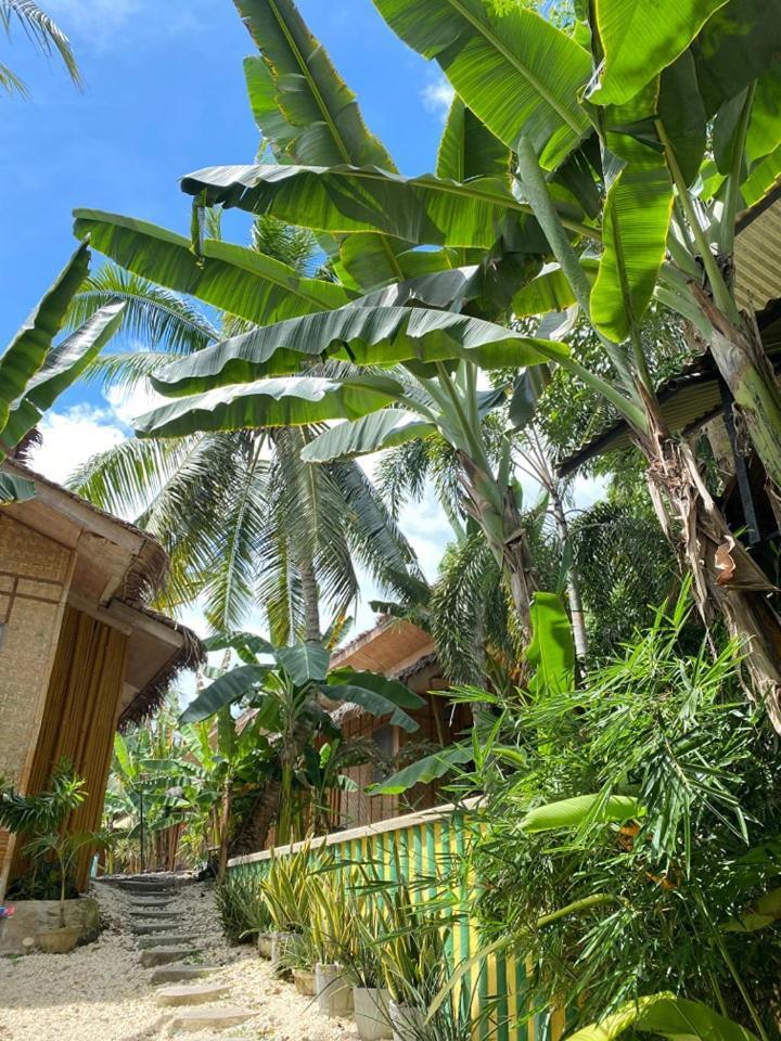 Ecostay Panglao Resort Hotel Exteriör bild